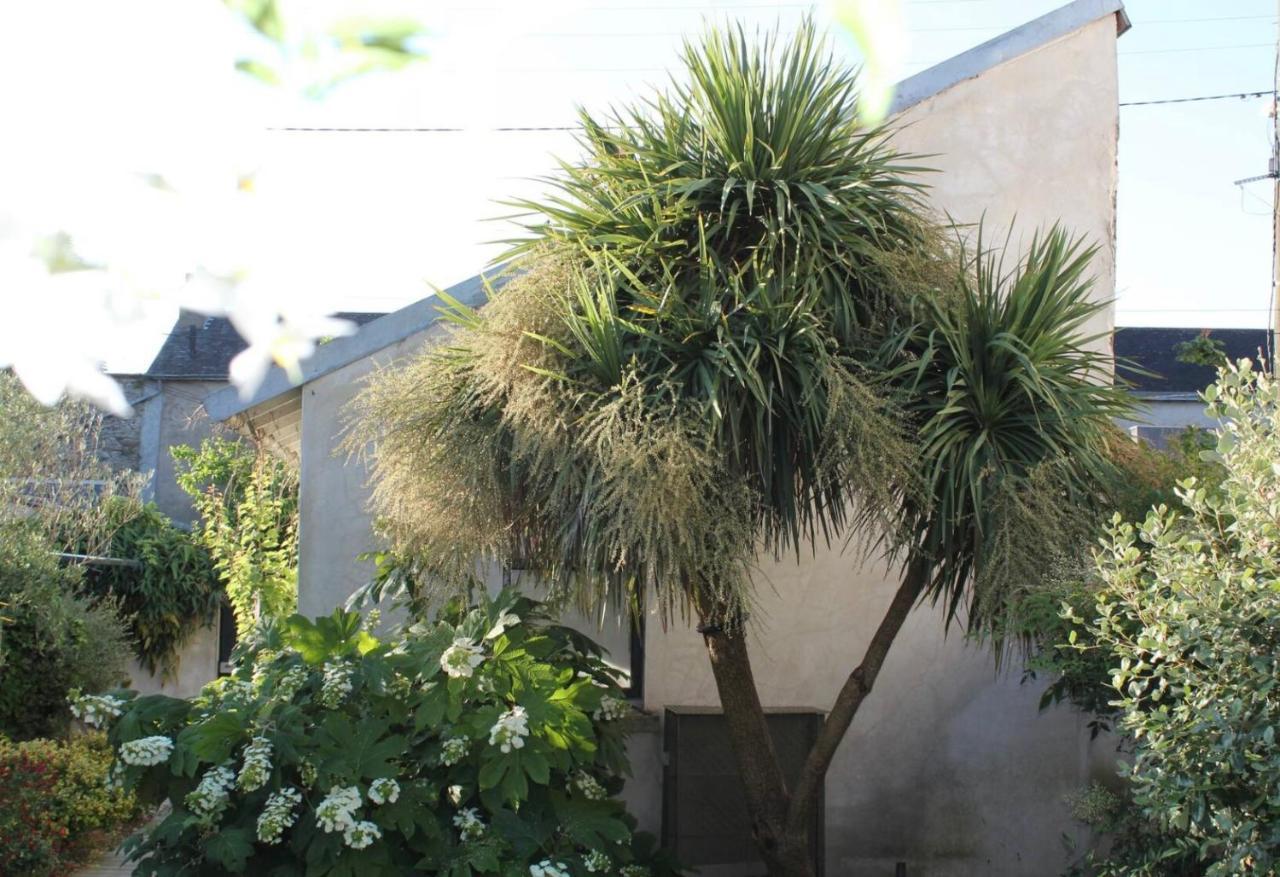 Duplex Confort Et Jardin Charmant Nantes Esterno foto